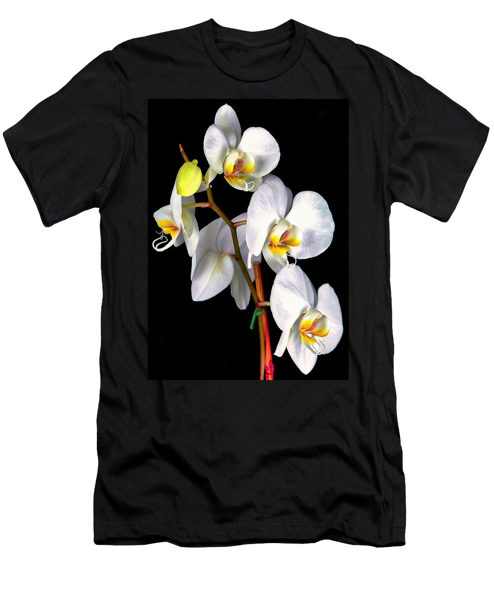 Orchids T-Shirt featuring the photograph Sara Ella by Elf EVANS