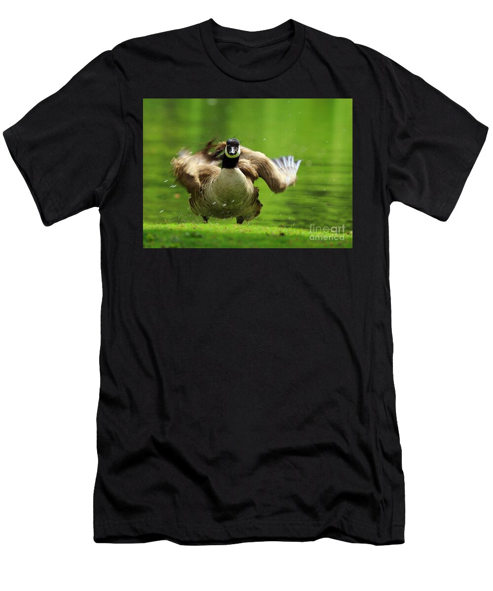 Canada Goose T-Shirt featuring the photograph Shake It Off by Kimberly Furey
