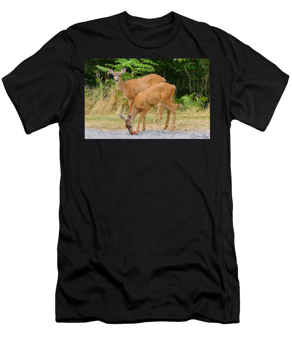 Deer Apple Doe White Tail Fstop101 Forest Woods T-Shirt featuring the photograph Sharing an Apple by Geno