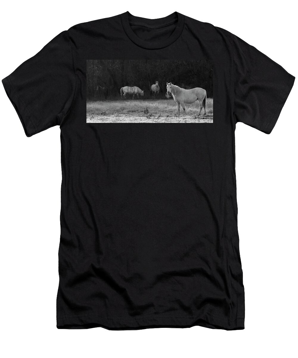 Shawnee T-Shirt featuring the photograph Shawnee Herd by Holly Ross