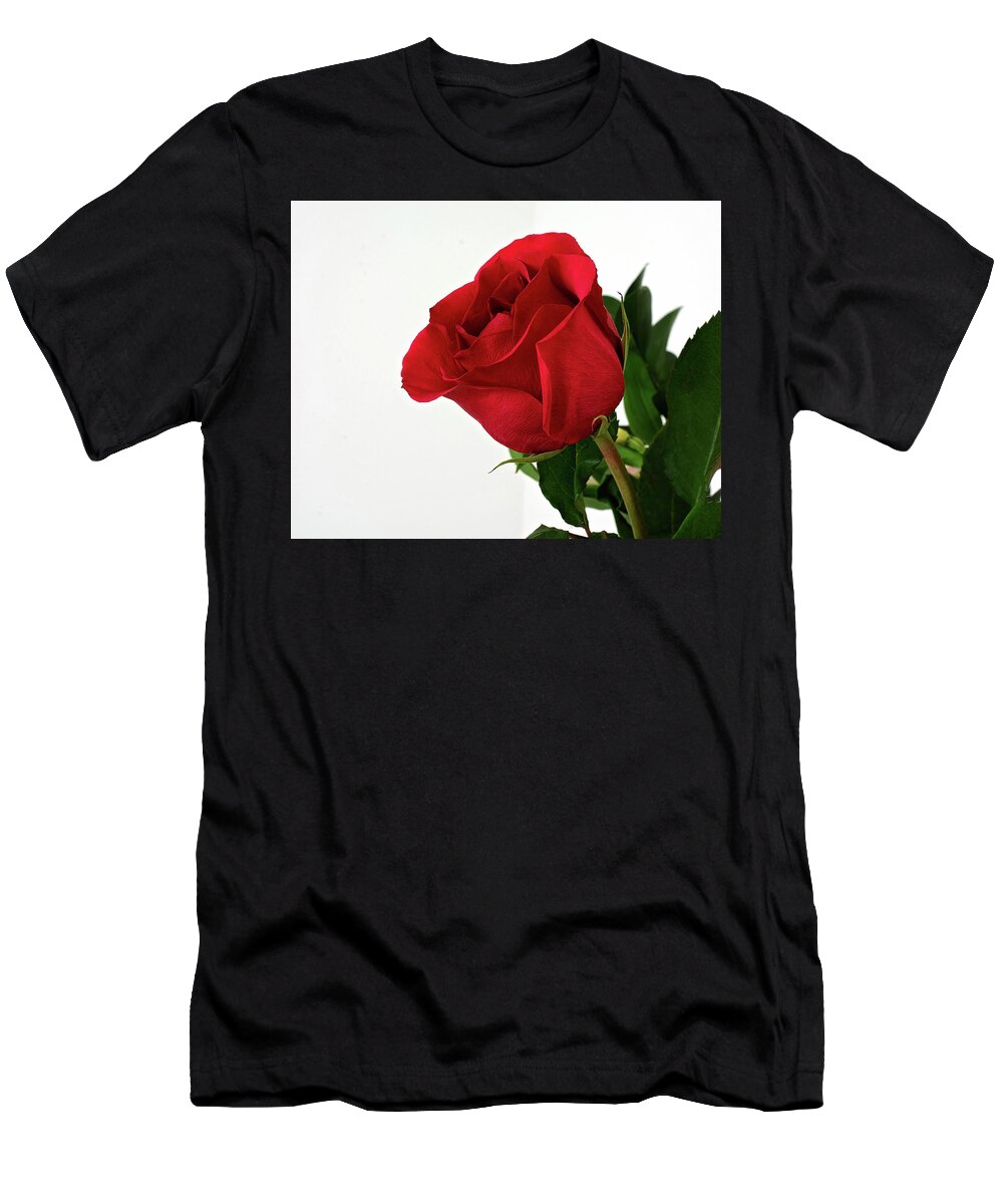 Single Red Rose Wall Art T-Shirt featuring the photograph Single Red Rose by Gwen Gibson