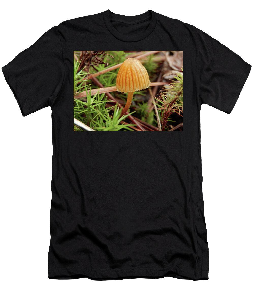 Mushroom T-Shirt featuring the photograph Single Tiny Wild Mushroom by Phil And Karen Rispin