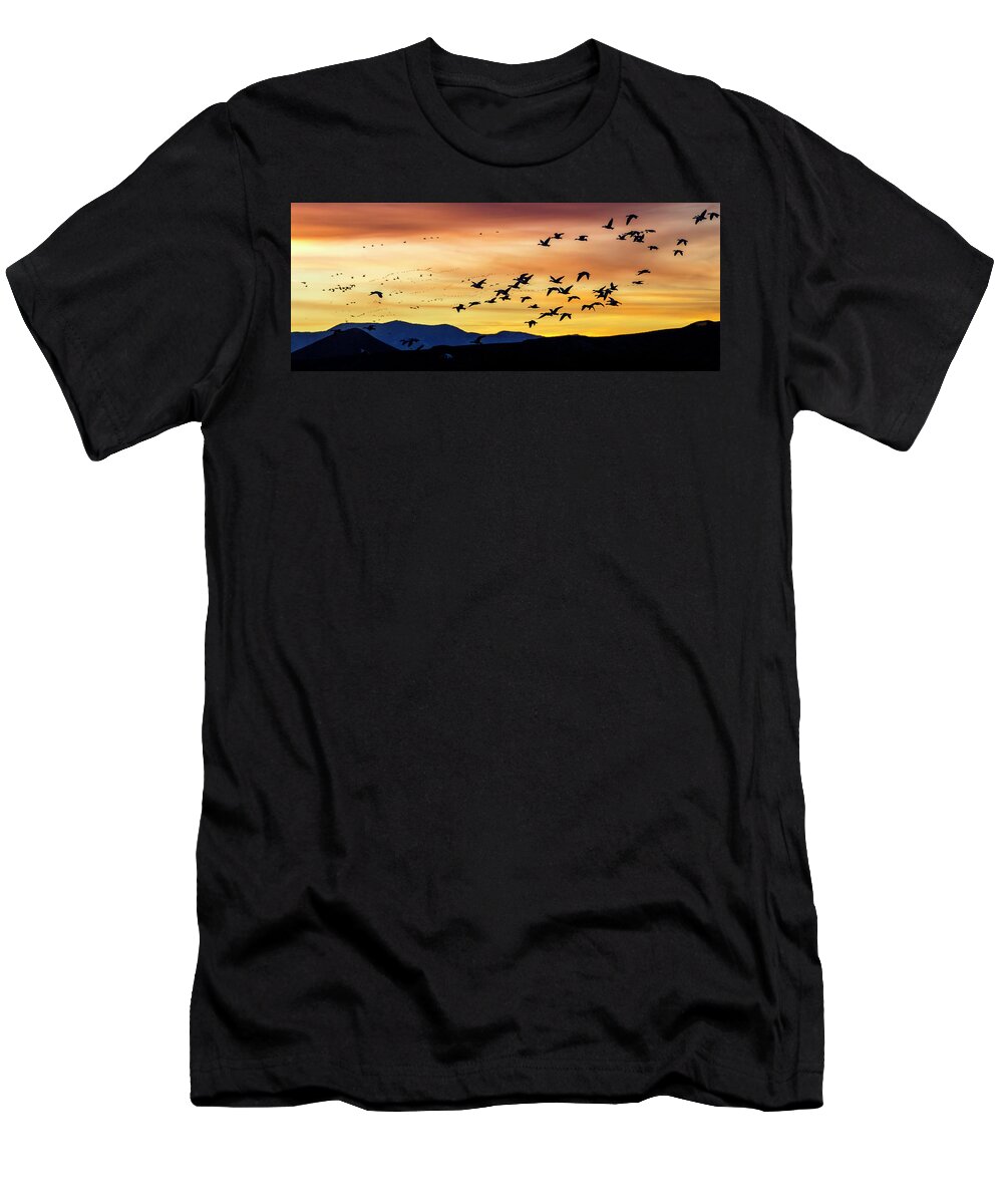Snow Geese T-Shirt featuring the photograph Snow Geese Flying into the Sunset by Judi Dressler