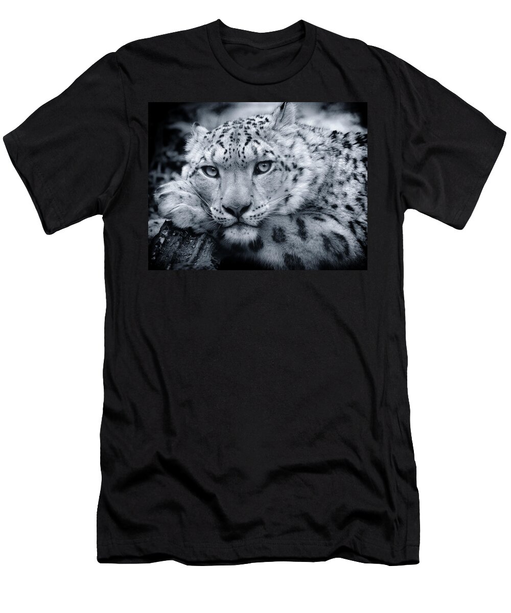 Snow Leopard T-Shirt featuring the photograph Snow Leopard Portrait - Request by Chris Boulton