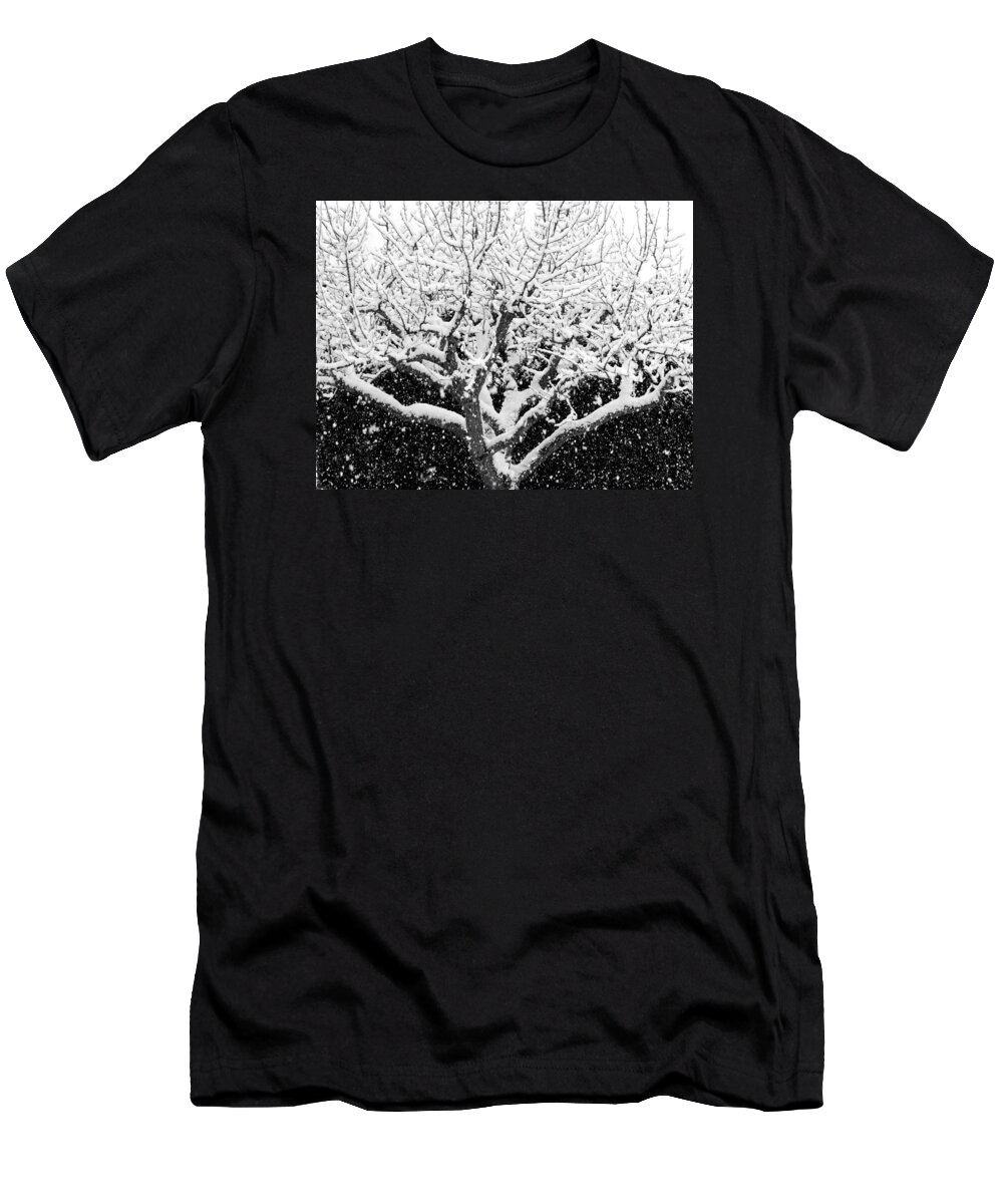 Black And White T-Shirt featuring the photograph Snowy Monochrome by Will Borden