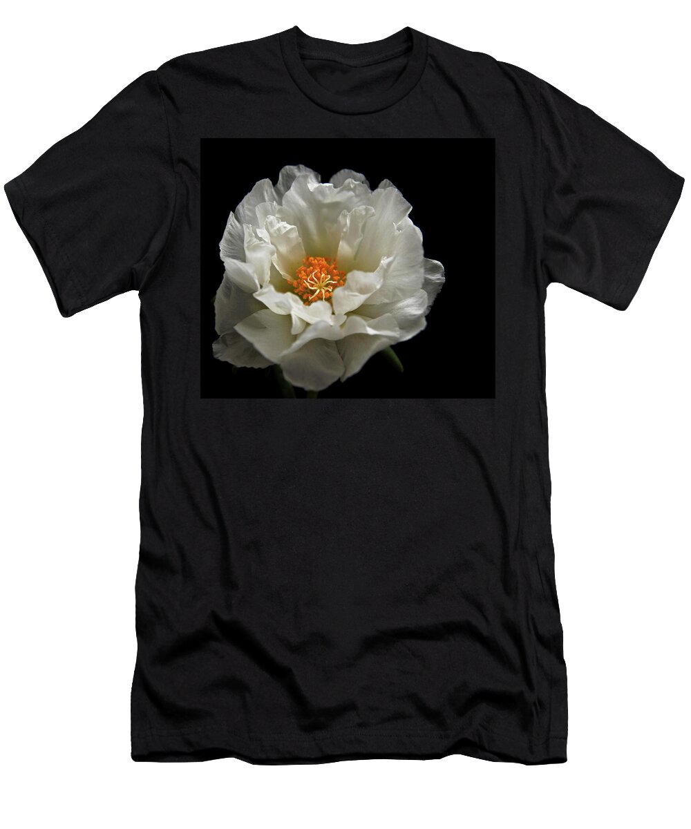 Moss-rose T-Shirt featuring the photograph Soft and Pure by Judy Vincent