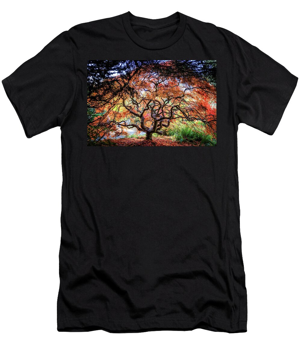 Kubota Gardens T-Shirt featuring the photograph Spirit Tree II by Phyllis McDaniel