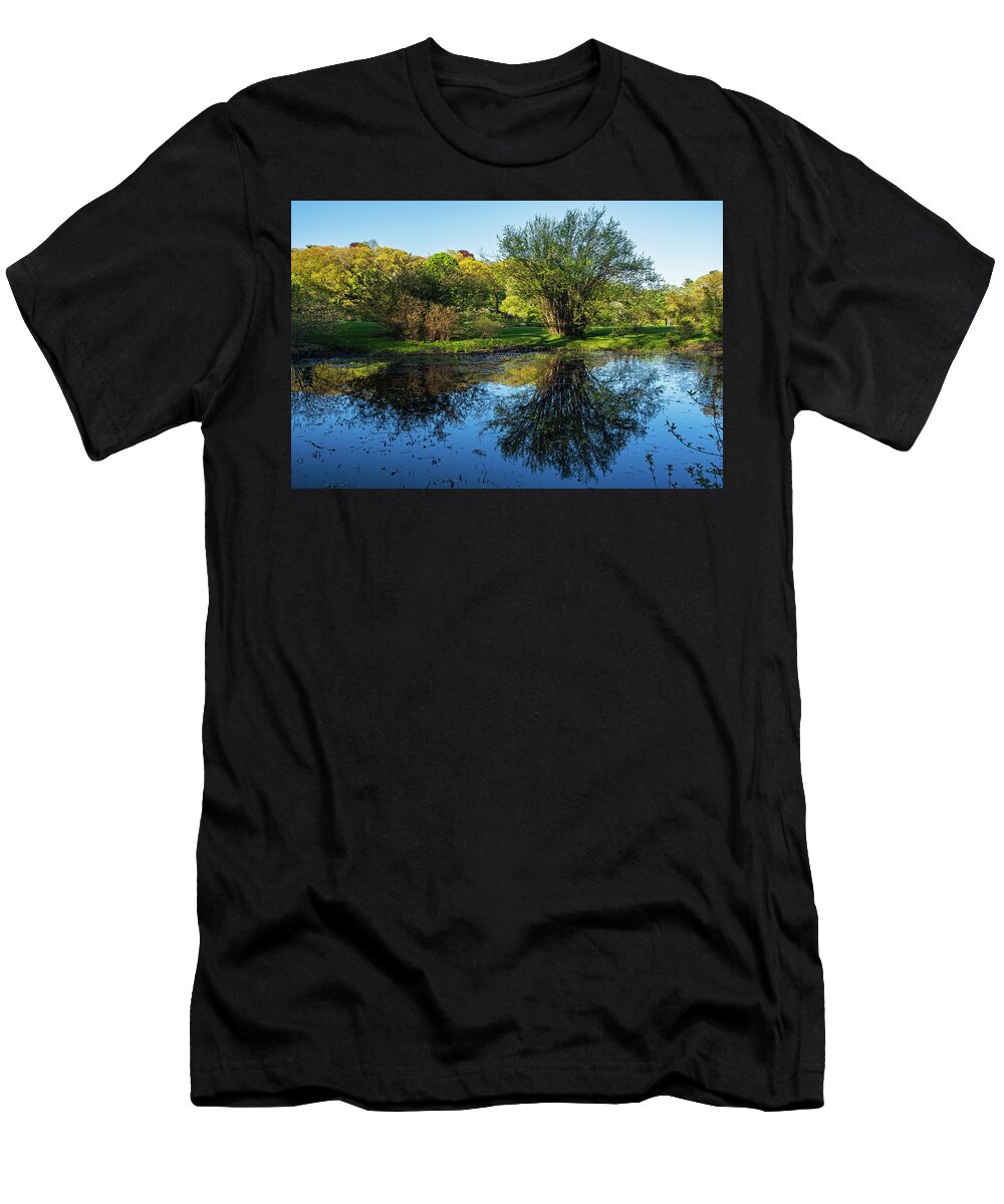 Jamaica Plain T-Shirt featuring the photograph Spring Day at the Arnold Arboretum Jamaica Plain MA Reflection by Toby McGuire