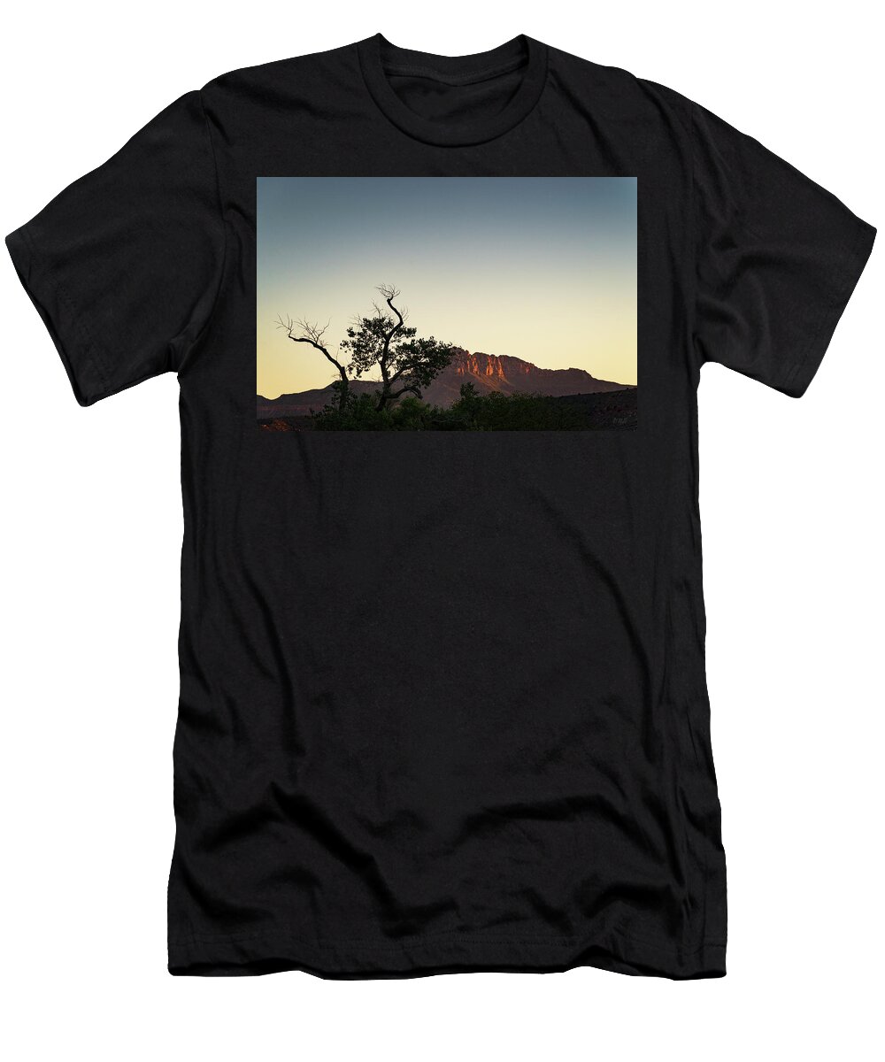 Springdale T-Shirt featuring the photograph Springdale Utah II Color by David Gordon