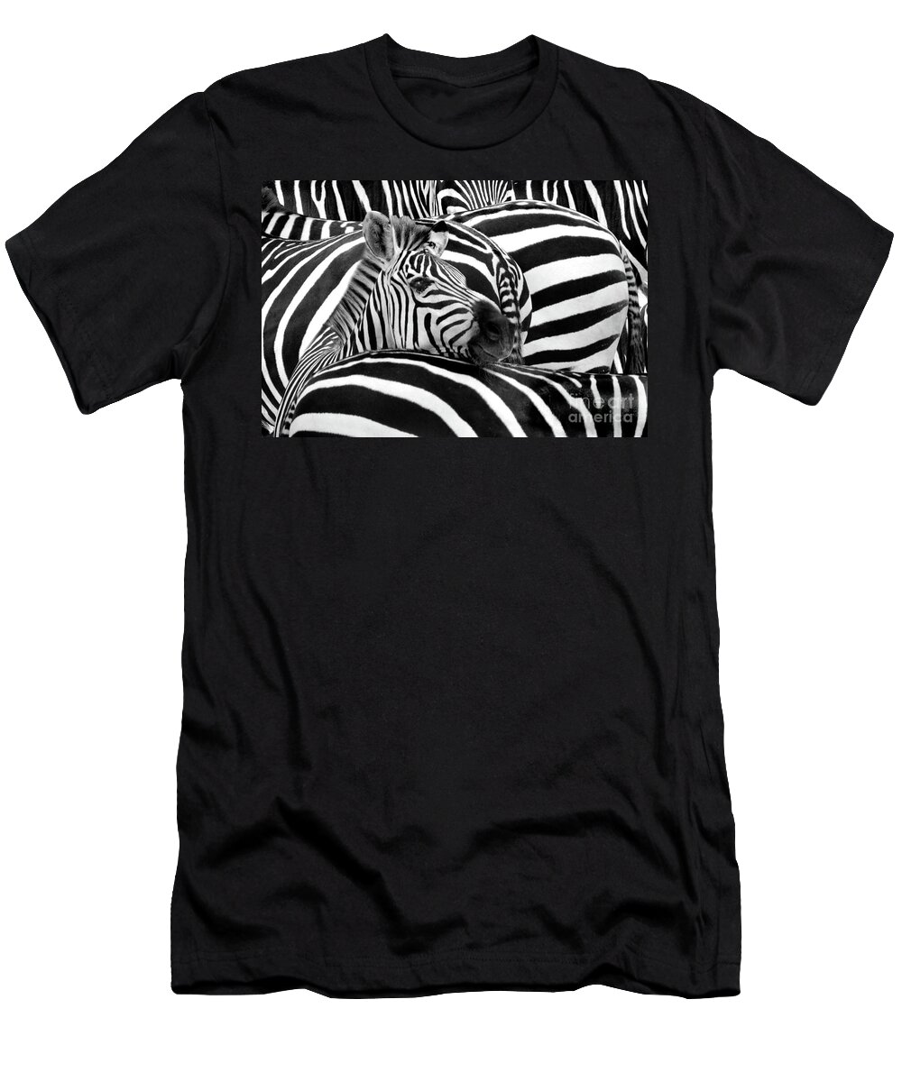 Zebra T-Shirt featuring the photograph Stripes by John Hartung  ArtThatSmiles com
