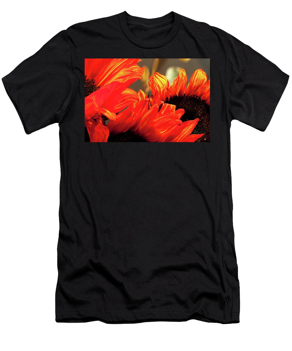 Flower T-Shirt featuring the photograph Summer Flowers Aglow by Blair Wainman