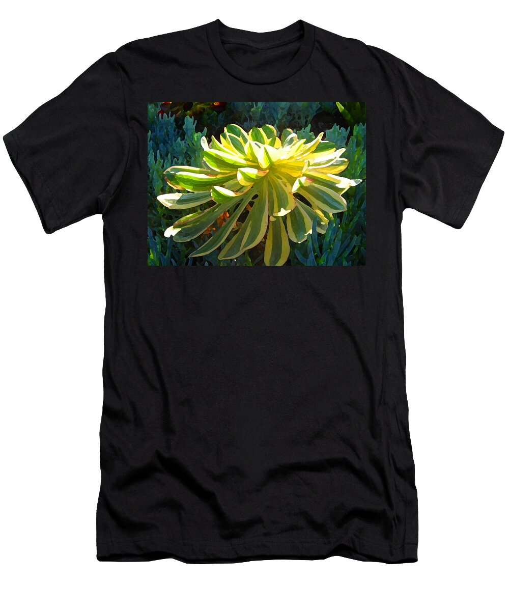 Succulent T-Shirt featuring the painting Sunburst Succulent on Blue by Amy Vangsgard