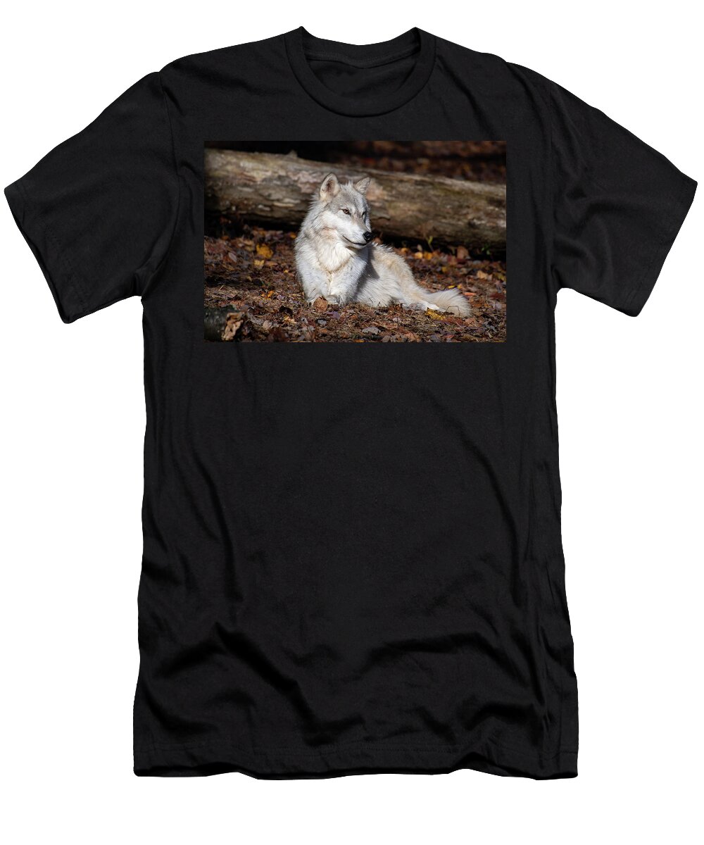 Tundra T-Shirt featuring the photograph Sundays are for Relaxing by Rose Guinther