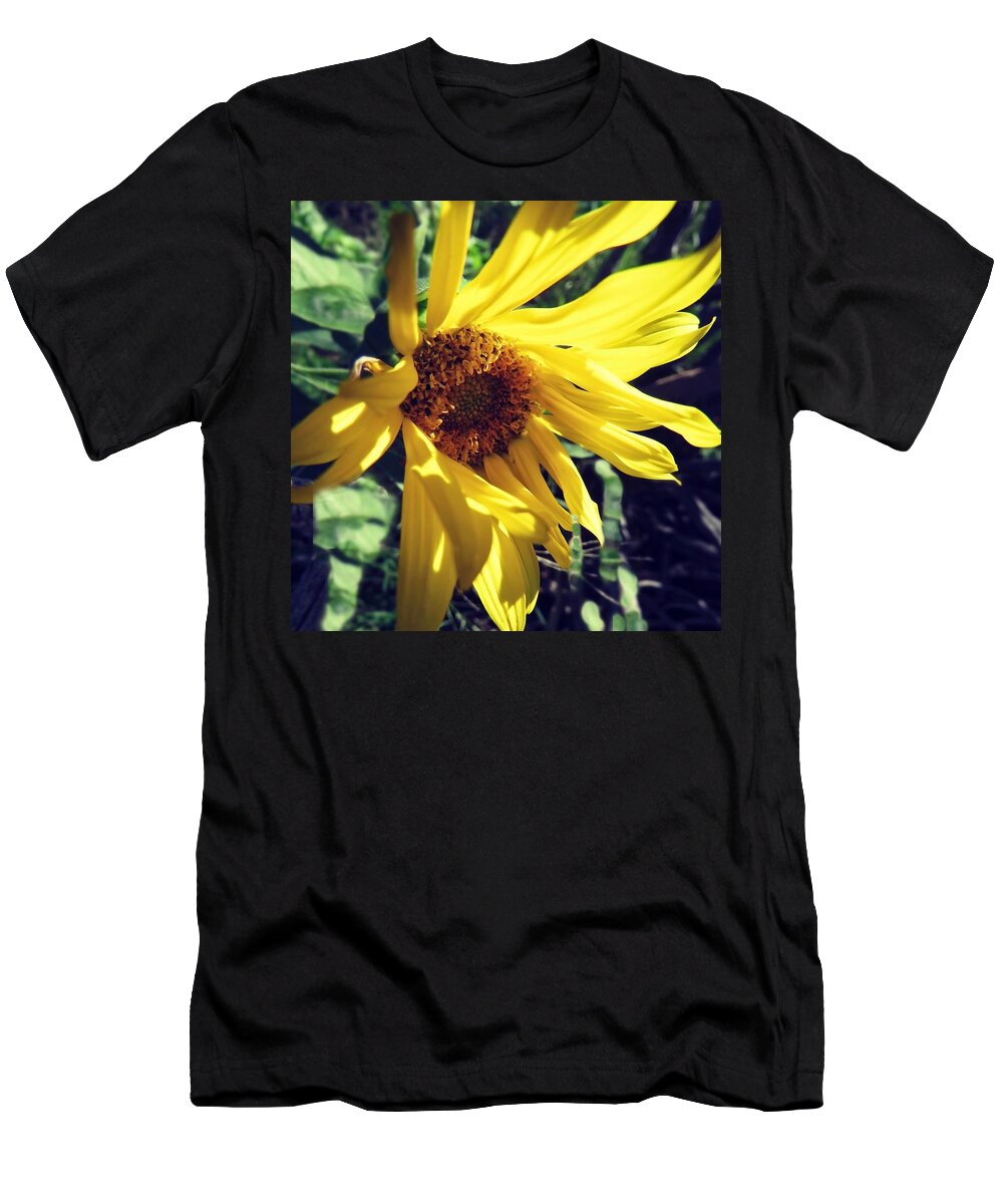 Arizona T-Shirt featuring the photograph Sunflower Surprise by Judy Kennedy