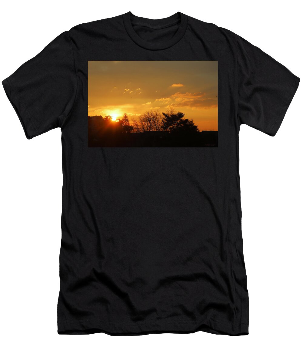 Morning T-Shirt featuring the photograph Sunrise with Birds in Flight Dawn Breaks Free of Highrise February 20 2021 by Miriam A Kilmer