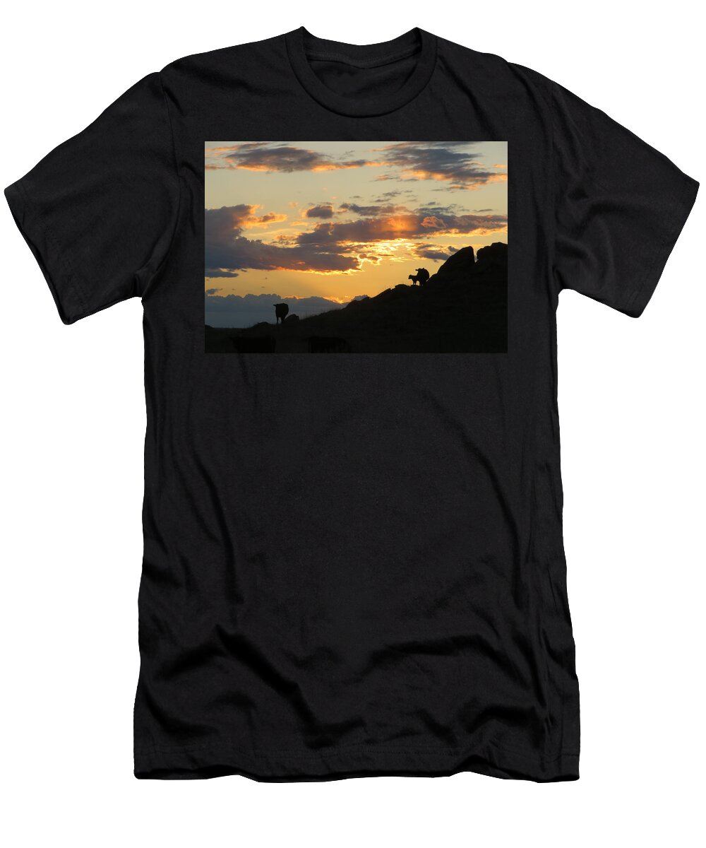 Cattle T-Shirt featuring the photograph Sunset Lullaby by Katie Keenan