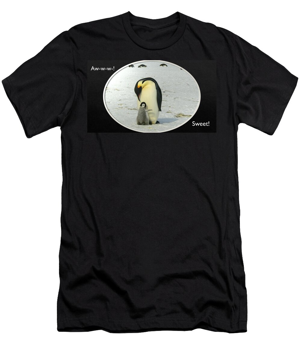 Penguins T-Shirt featuring the photograph Sweet Penguins by Nancy Ayanna Wyatt