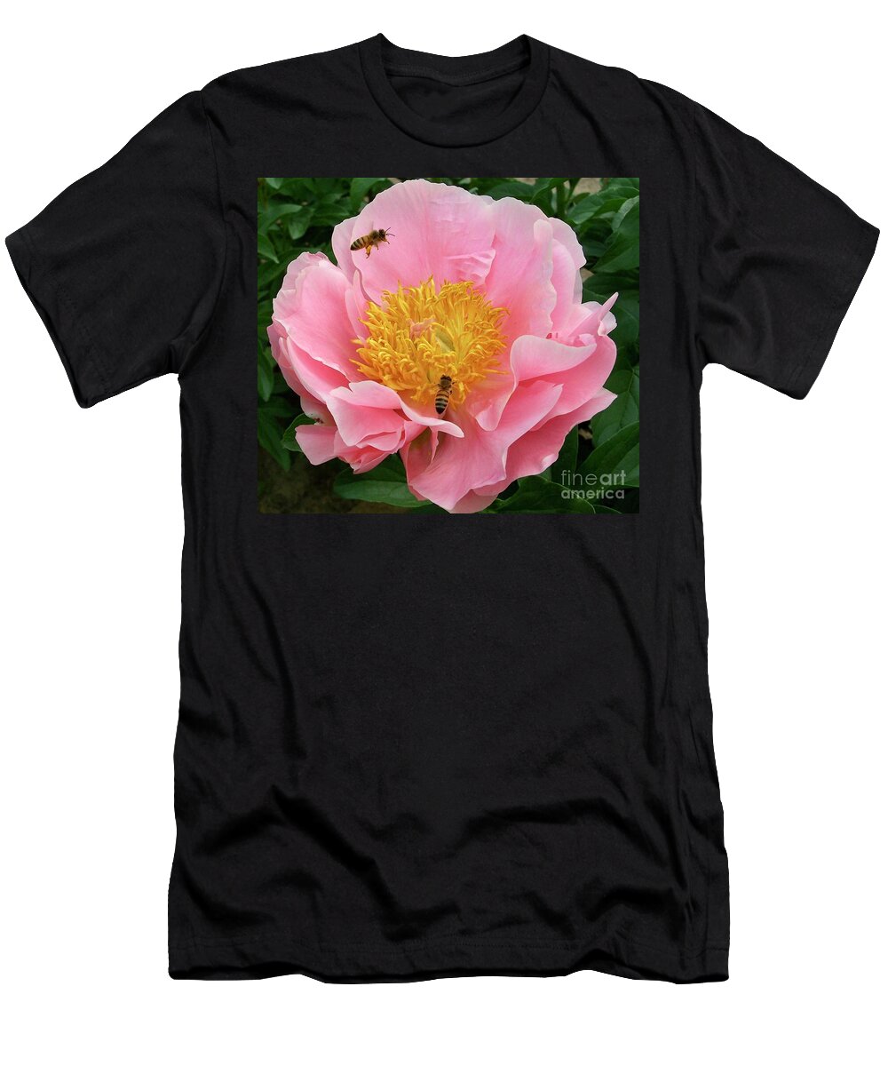 Peonies T-Shirt featuring the photograph The Bees' Peony by Stephanie Weber