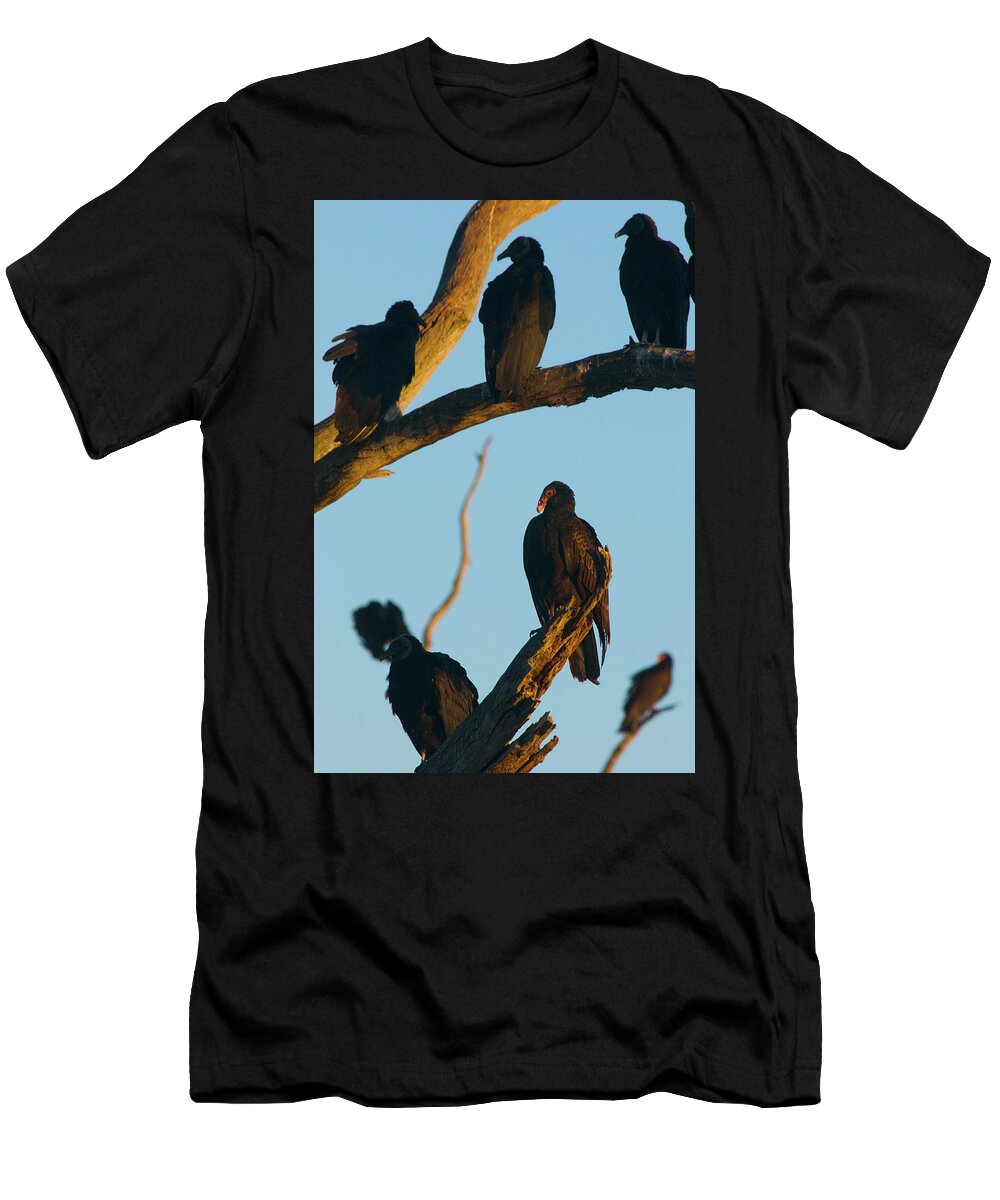 Animal T-Shirt featuring the photograph The Committee by Melissa Southern