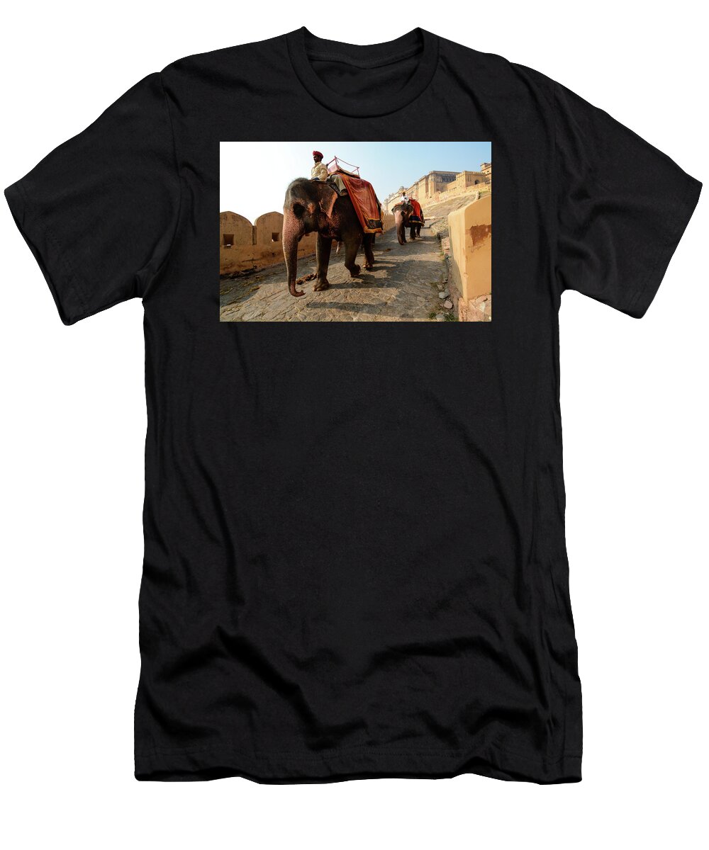 India T-Shirt featuring the photograph Kingdom Come. - Amber Palace, Rajasthan, India by Earth And Spirit