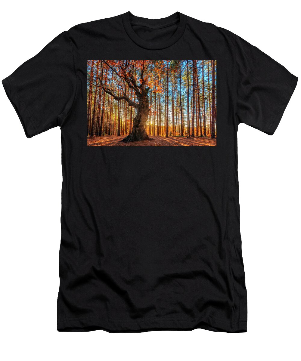 Belintash T-Shirt featuring the photograph The King Of the Trees by Evgeni Dinev