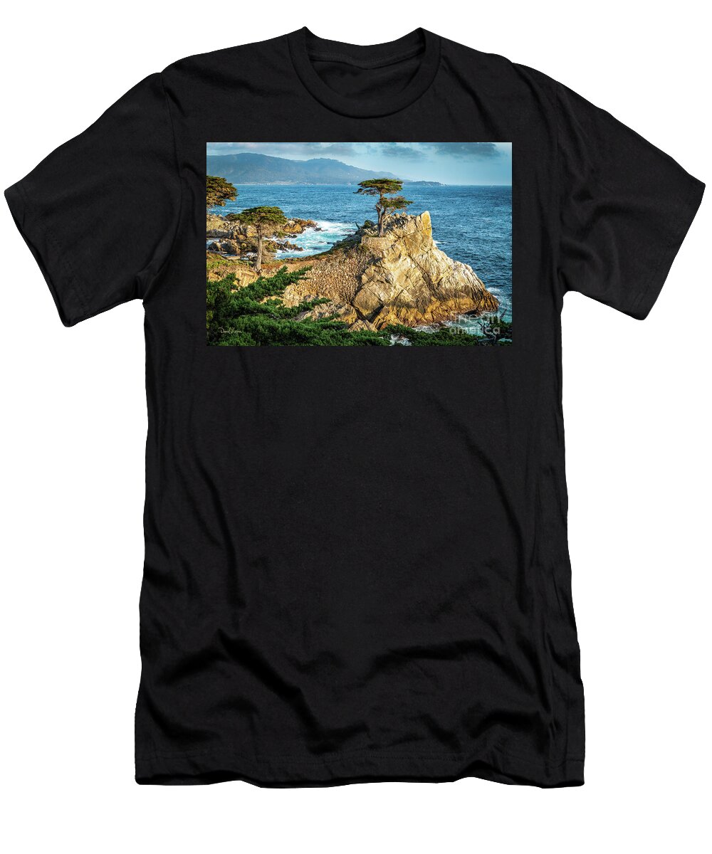 17 Mile Drive T-Shirt featuring the photograph The Lone Cypress by David Levin