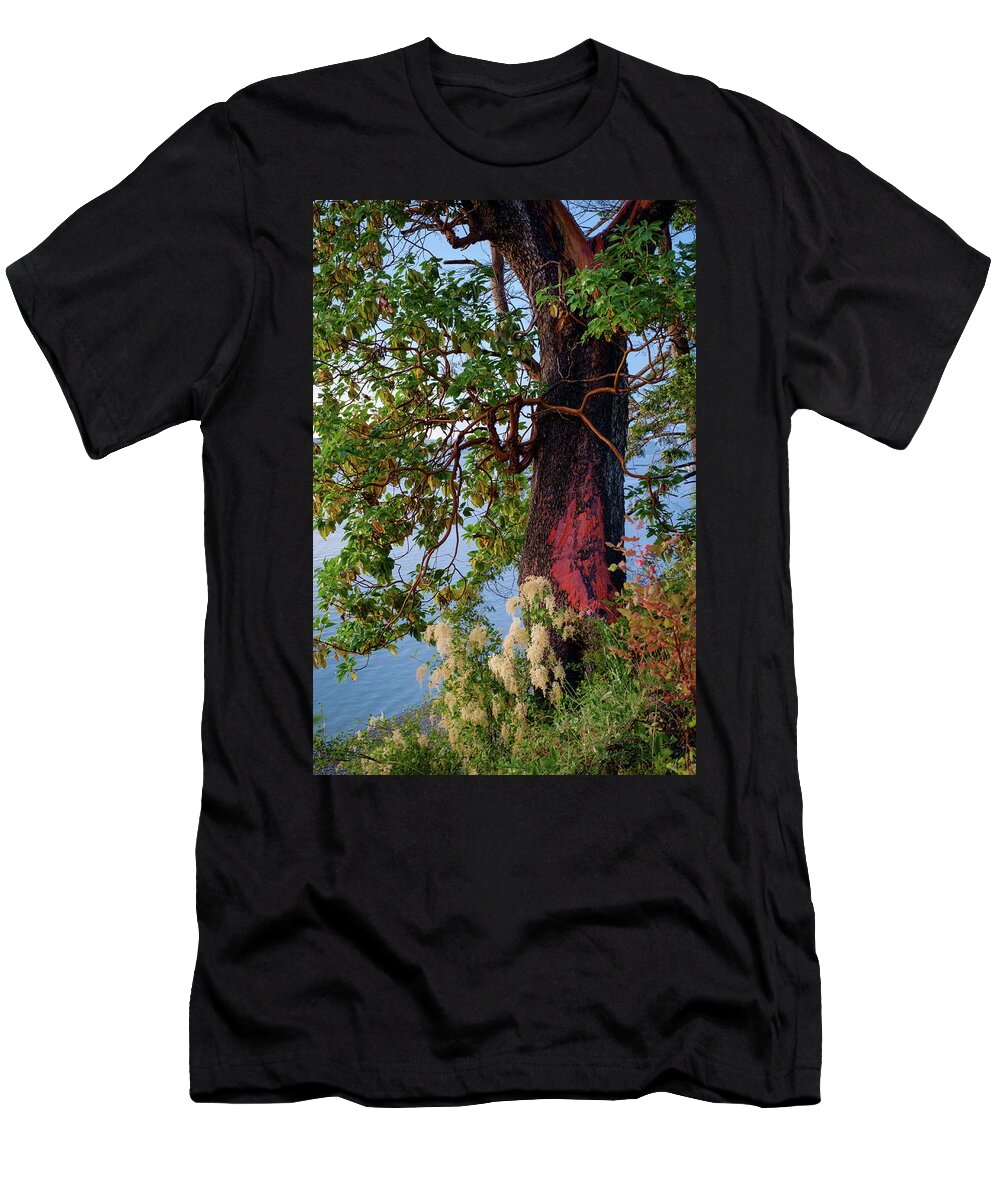 Trees T-Shirt featuring the photograph The Sacred Madrone Tree by Mary Lee Dereske