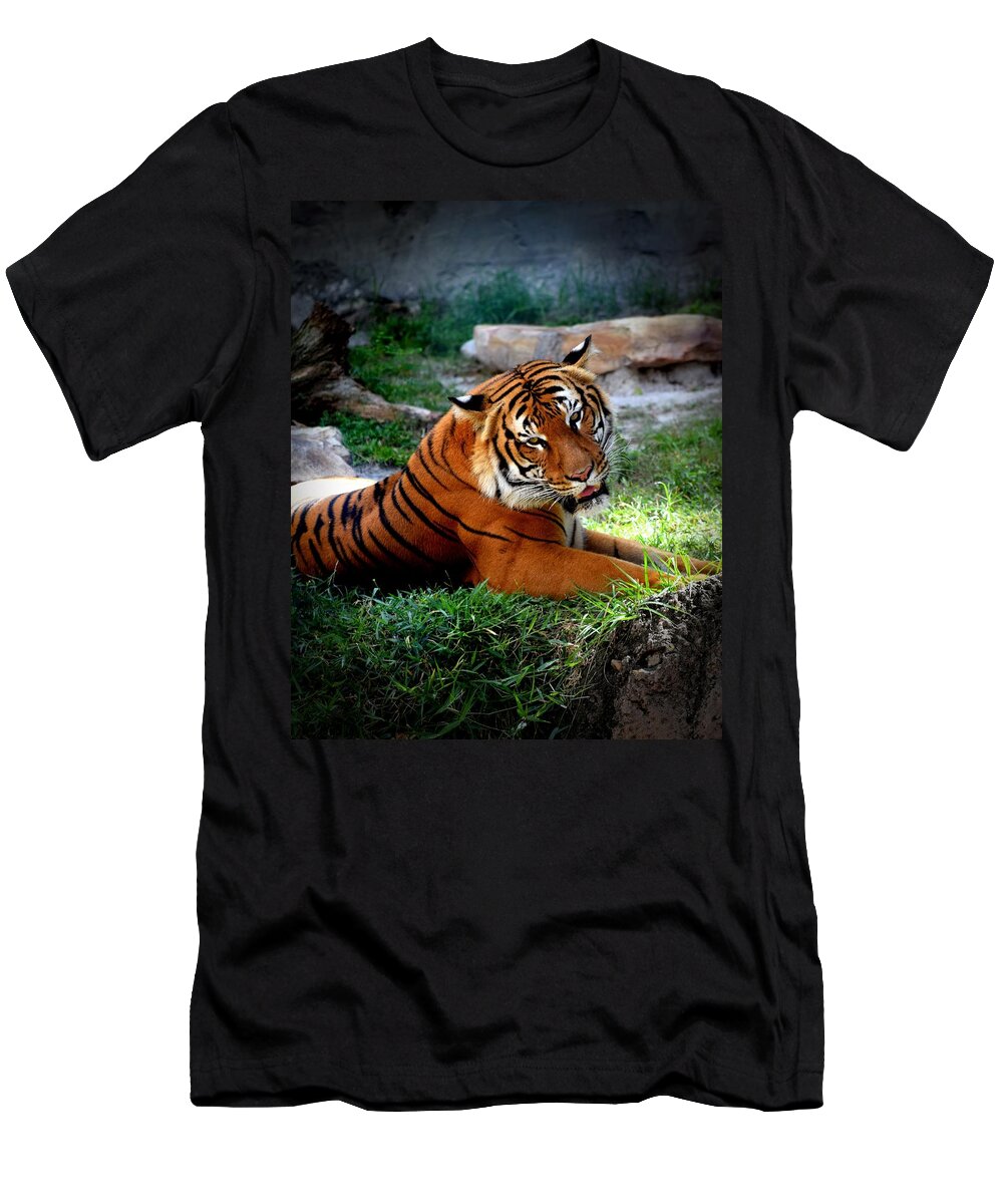 Tiger T-Shirt featuring the photograph Tiger Photo 143 by Lucie Dumas