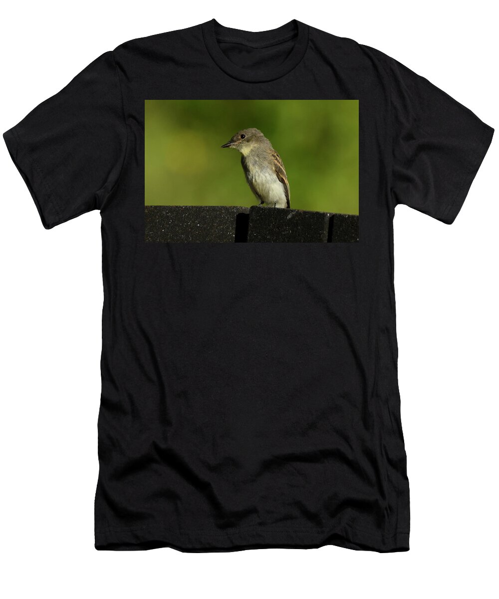 Tiny Bird T-Shirt featuring the photograph Tiny Bird Portrait by Sandra J's