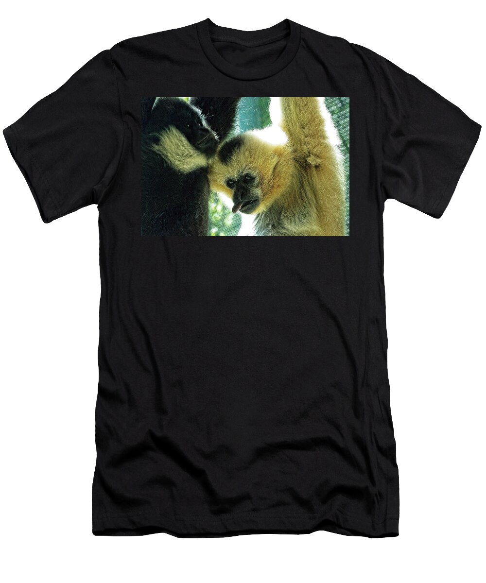 Animal T-Shirt featuring the photograph Tired Of Hanging by David Desautel