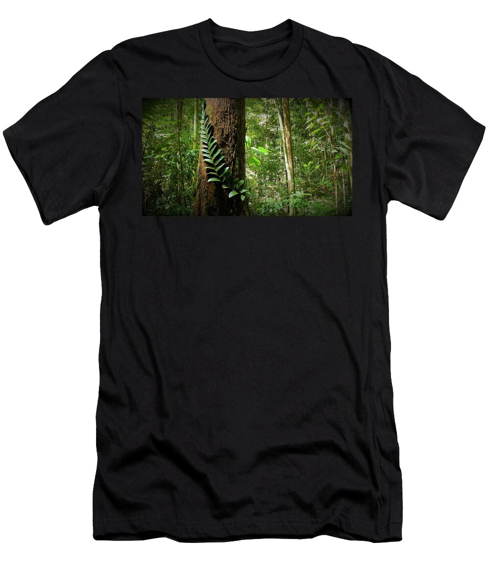 Tropical Forest T-Shirt featuring the photograph Tropical Forest 3 by Robert Bociaga