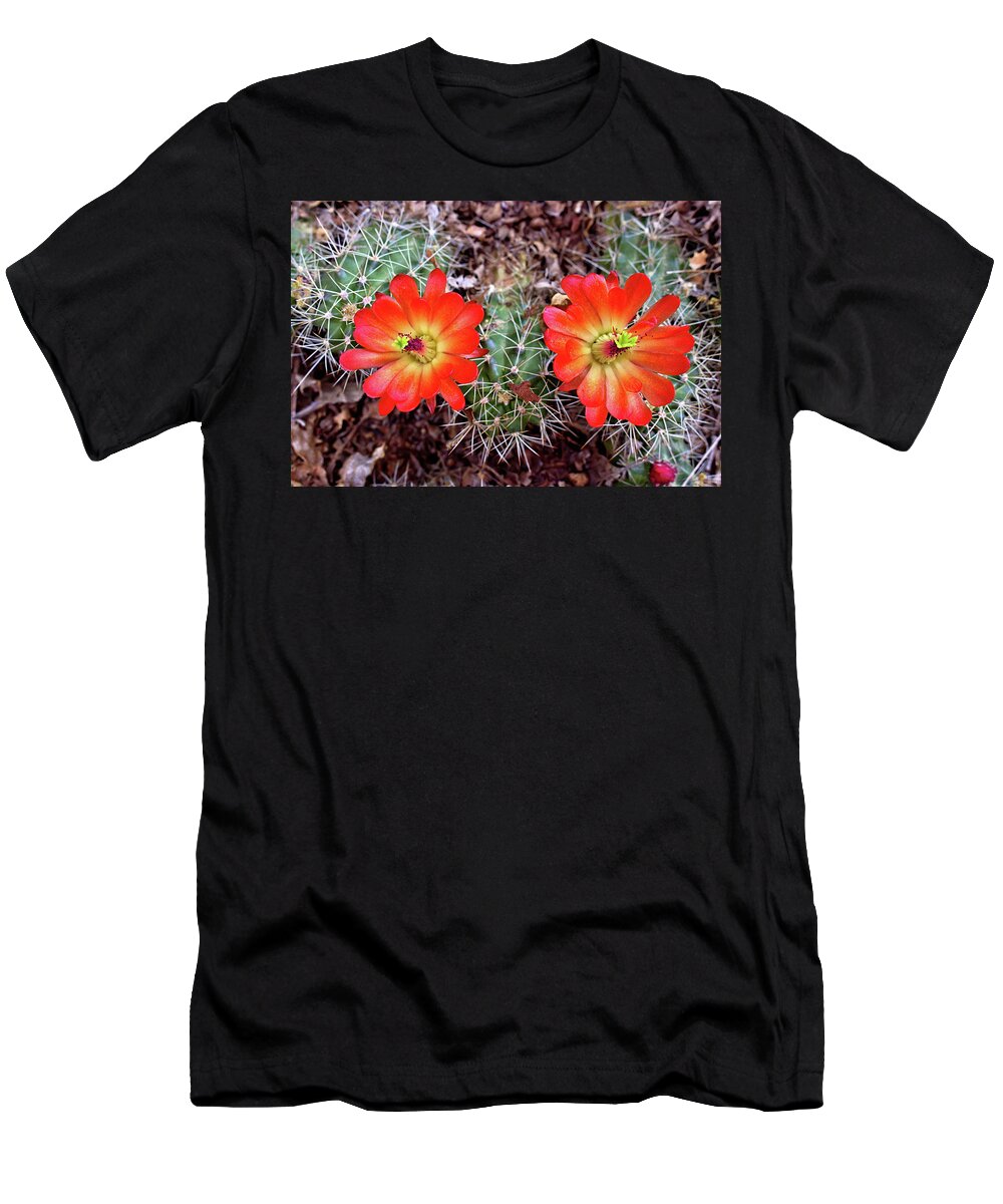 Cacti T-Shirt featuring the photograph Twin Claret Cup Cactus by Bob Falcone