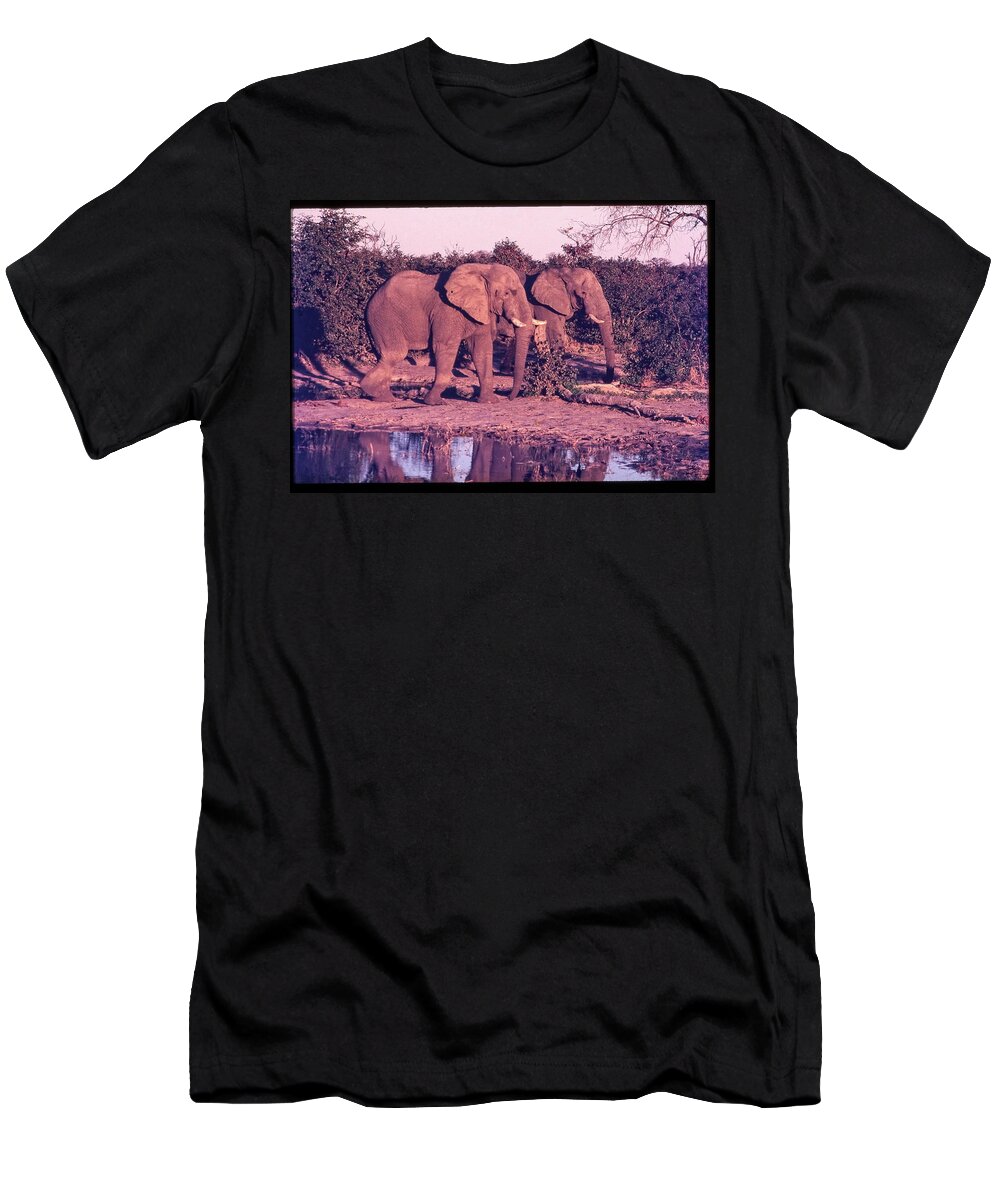 Africa T-Shirt featuring the photograph Two Elephants Going for a Walk by Russel Considine