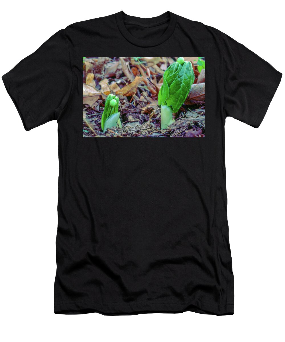 Mayapple T-Shirt featuring the photograph Two Mayapples Sprouting P 405 by James C Richardson