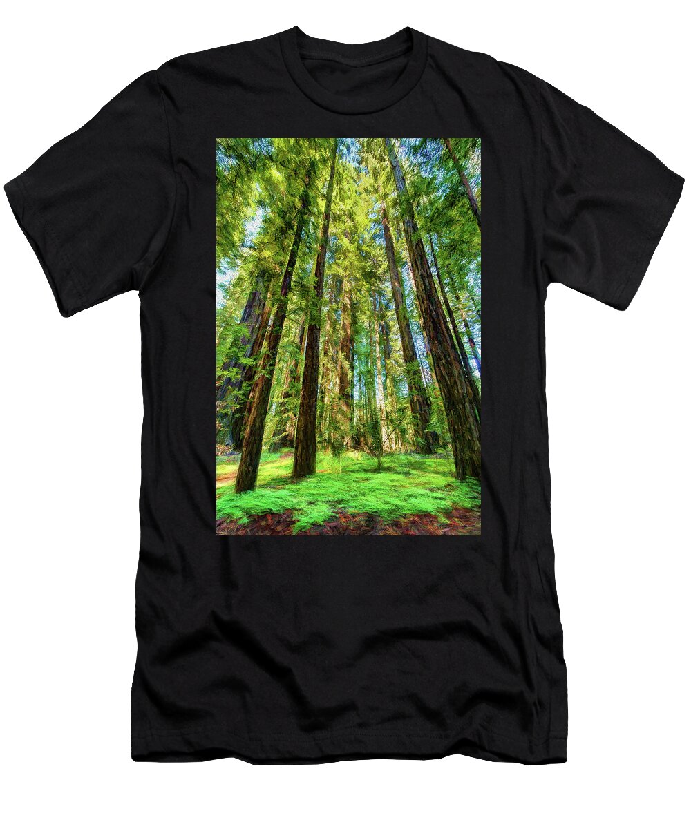 California T-Shirt featuring the photograph Up Into the California Redwoods ap 120 by Dan Carmichael
