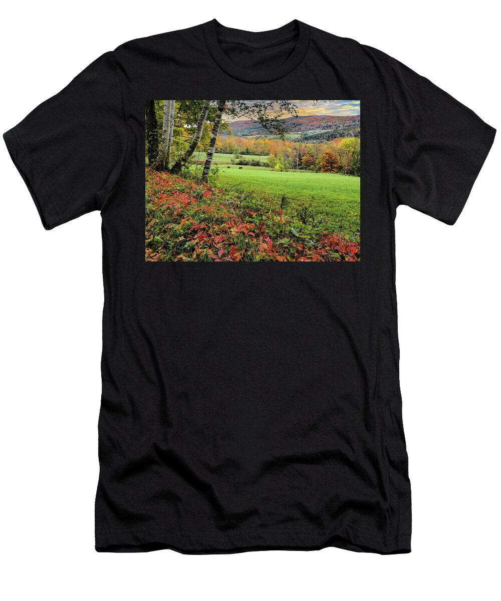 1902 Maple Grove Farm T-Shirt featuring the photograph Vermont Morning on the Farm by Jeff Folger