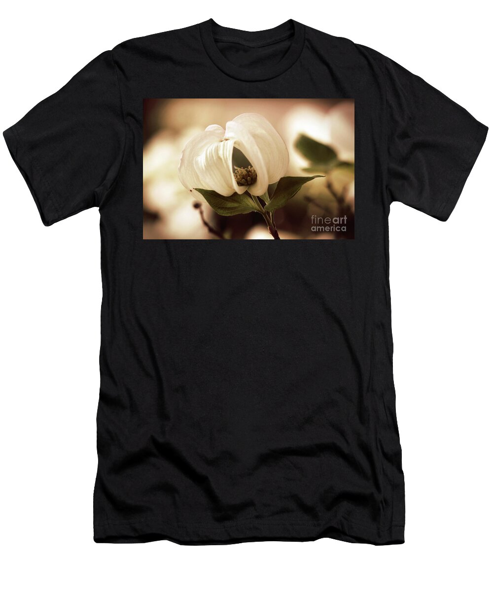Dogwood; Dogwood Blossom; Blossom; Flower; Vintage; Macro; Close Up; Petals; Sepia; Leaves; Tree; Branches T-Shirt featuring the photograph Vintage Dogwood on the Verge of Blooming by Tina Uihlein