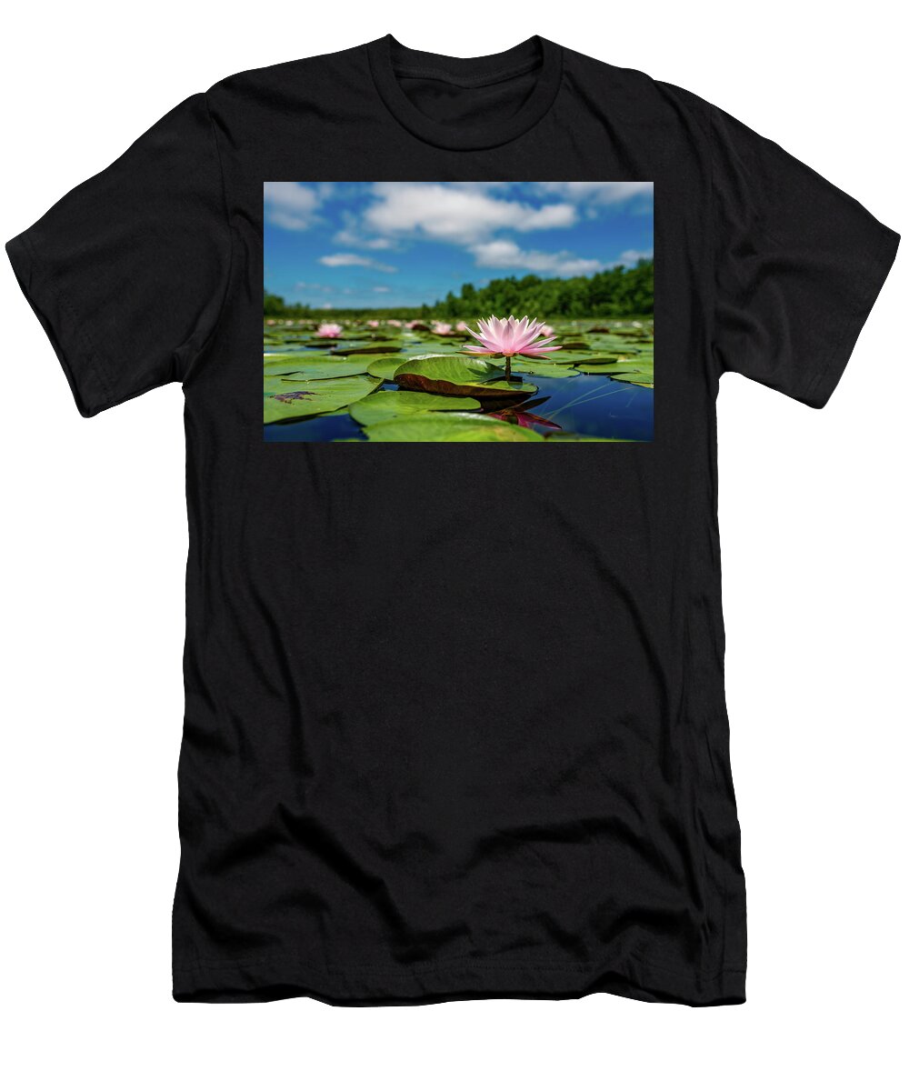 New Hampshire T-Shirt featuring the photograph Water Lilies on the Bellamy 2 by Jeff Sinon