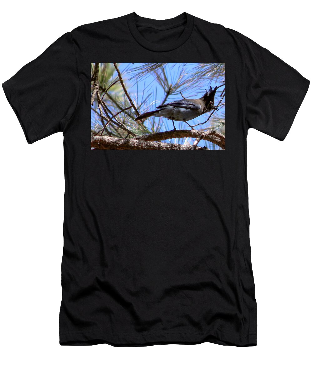 Bluejay Stellar's Bluejay Wild Bird Bird Nature Wildlife Wildlife Photography Nature Photography  T-Shirt featuring the photograph What is That? by Laura Putman