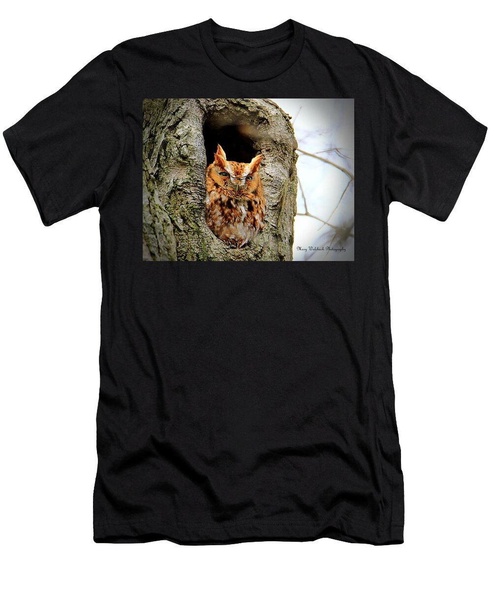 Eastern Screech Owl Red Morph T-Shirt featuring the photograph Whooo are You by Mary Walchuck