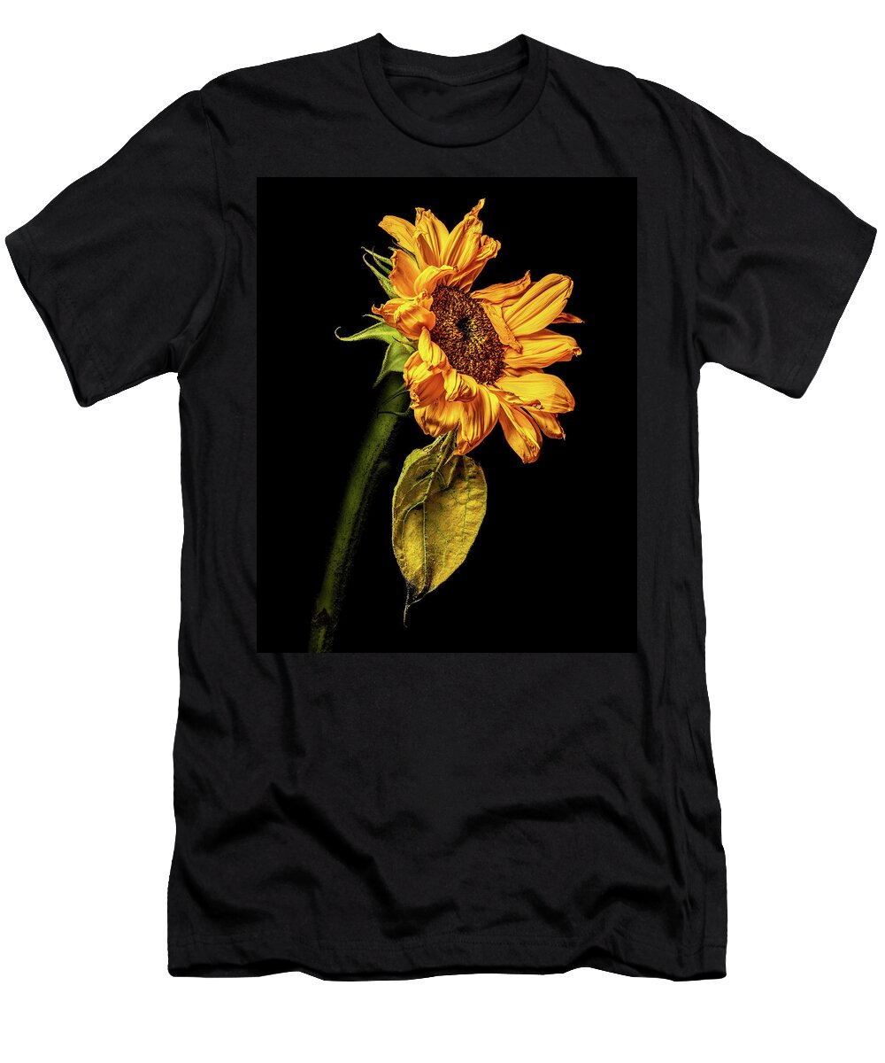 4x5 Format T-Shirt featuring the photograph Wilting Sunflower #5 by Kevin Suttlehan