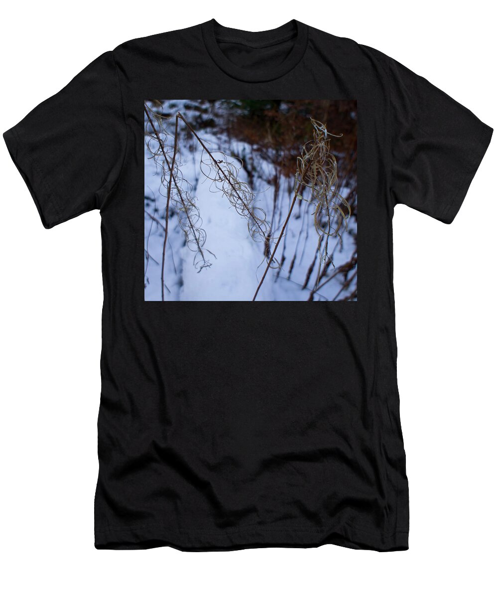 Rosebay Willowherb T-Shirt featuring the photograph Winter of Fireweed by Elena Perelman