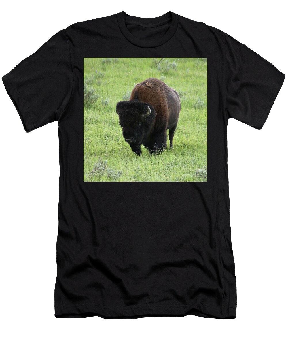 Bison T-Shirt featuring the photograph You talkin to me? by Yvonne M Smith