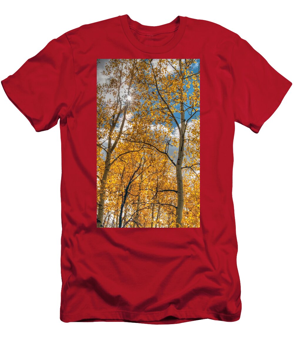 Aspen Trees T-Shirt featuring the photograph Aspens by Tam Ryan