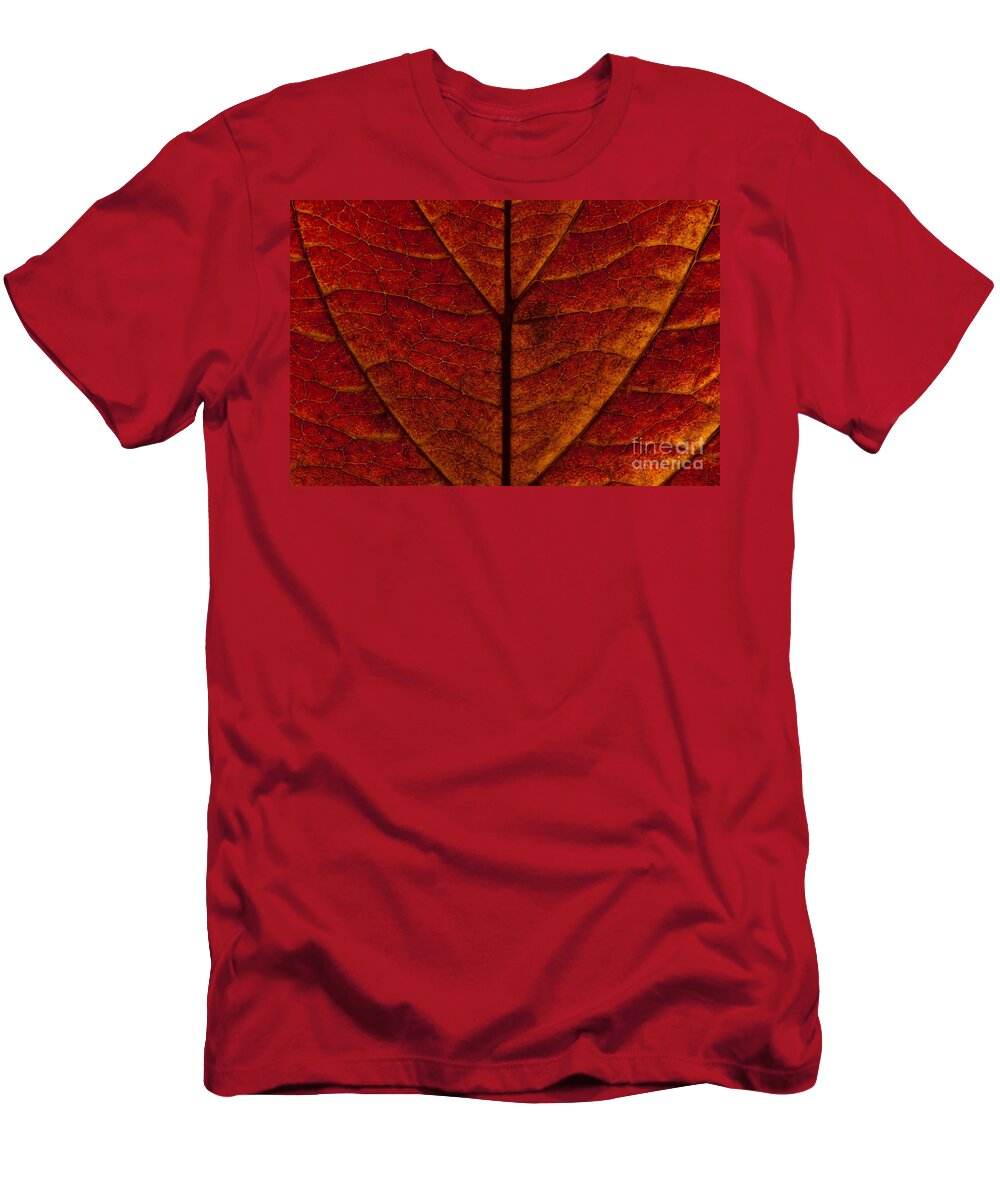Pacific Dogwood T-Shirt featuring the photograph Dogwood leaf backlit #1 by Jim Corwin