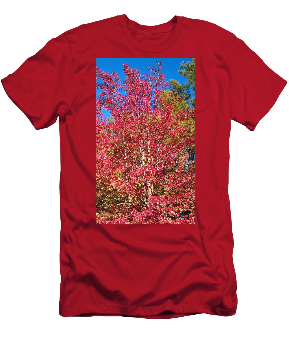 Fall T-Shirt featuring the photograph Autumn Color #10 by Kenny Glover