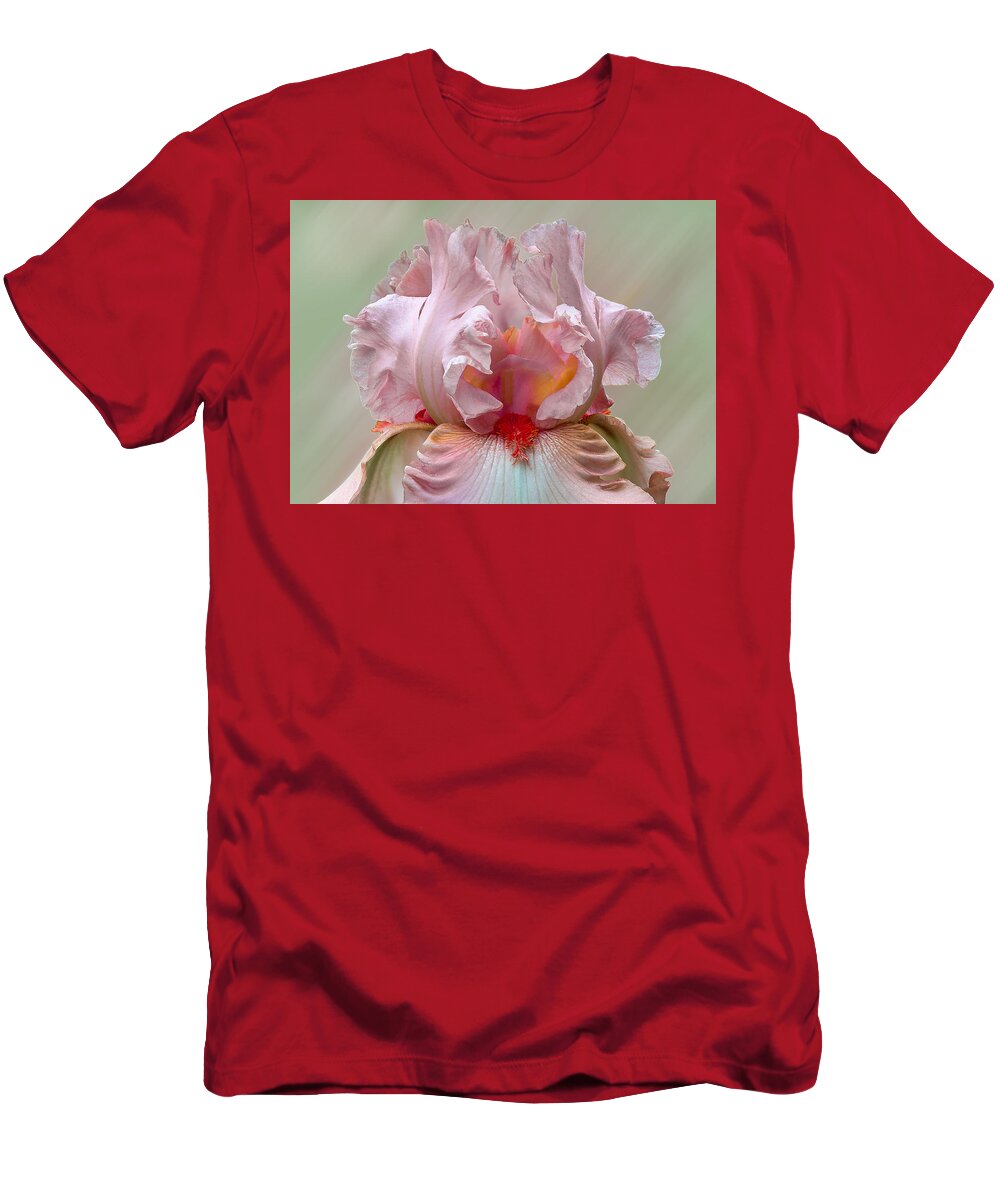 Pink T-Shirt featuring the photograph Pink Electrabrite Bearded Iris by Patti Deters