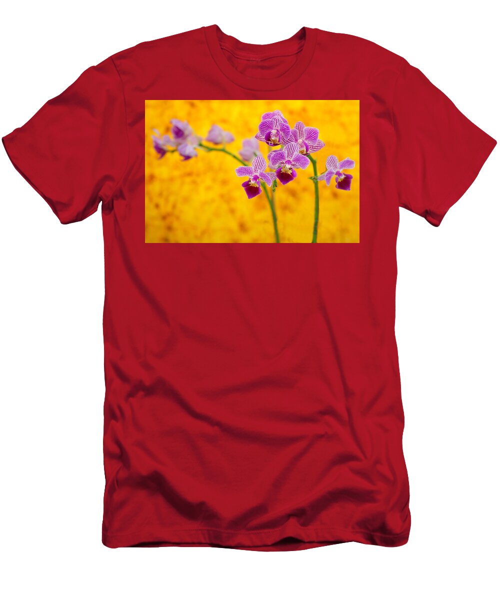 Orchid T-Shirt featuring the photograph Purple Orchid-9 by Rudy Umans