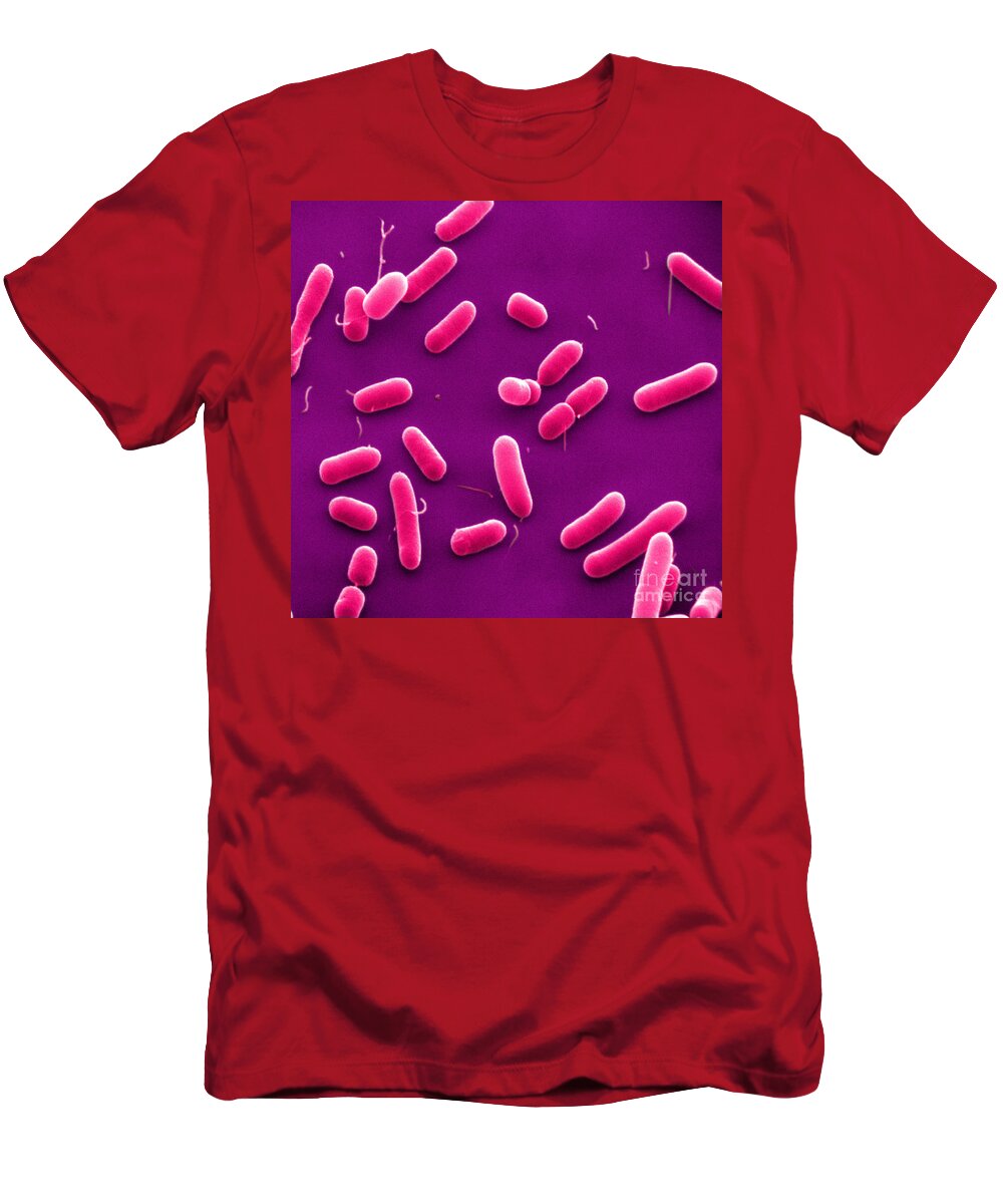 Sem T-Shirt featuring the photograph Sem Of Haemophilus Influenzae #7 by David M. Phillips