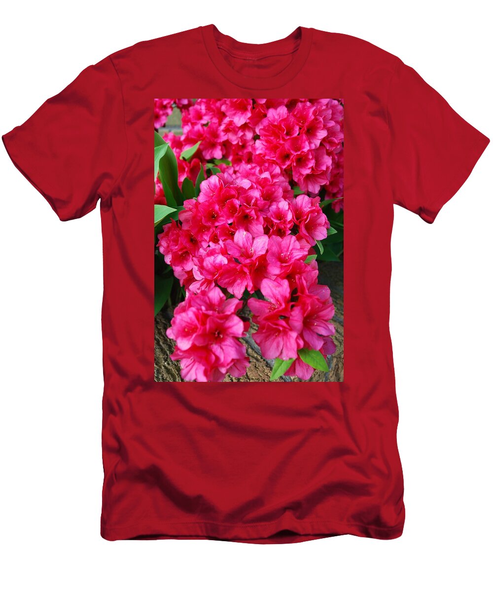 Azalea T-Shirt featuring the photograph A Touch of Spring by Joseph Desiderio